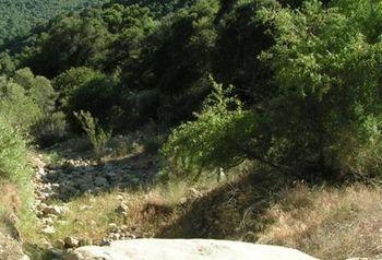 Rancho Oso Rv & Camping Resort Goleta Екстер'єр фото